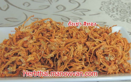ถั่งเช่า ยา บำรุงกำลัง