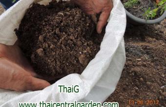 ขี้หมู อบแห้ง คุณภาพดีเยี่ยมและราคาถูก