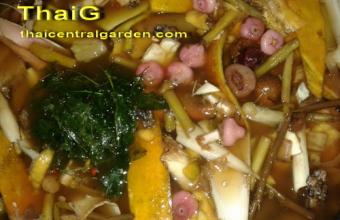 น้ำเอ็นไซม์ น้ำหมักพลอยเพชร น้ำหมักฝาถัง