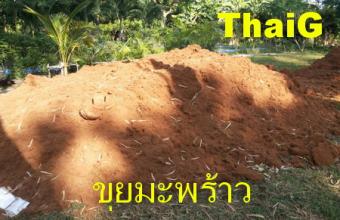 วัสดุปลูก ขาย จำหน่าย ขุยมะพร้าว