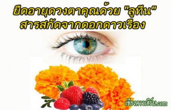 ลูทีน ดอกดาวเรื่อง ช่วยบำรุงสายตา