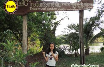 thaiG สวนไทยจี