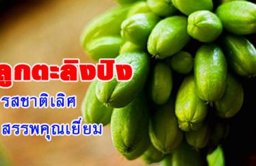 ลูกผลตะลิงปลิง รสชาติเป็นเลิศ