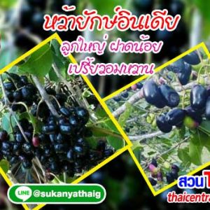 หว้าอินเดีย