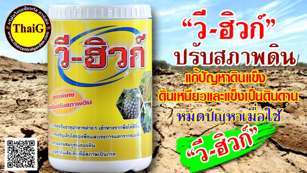 สารปรับสภาพดิน แก้ปัญหาดินแข็ง ดินเหนียว ดินดาน ช่วยระเบิดดินให้ร่วนซุ่ย