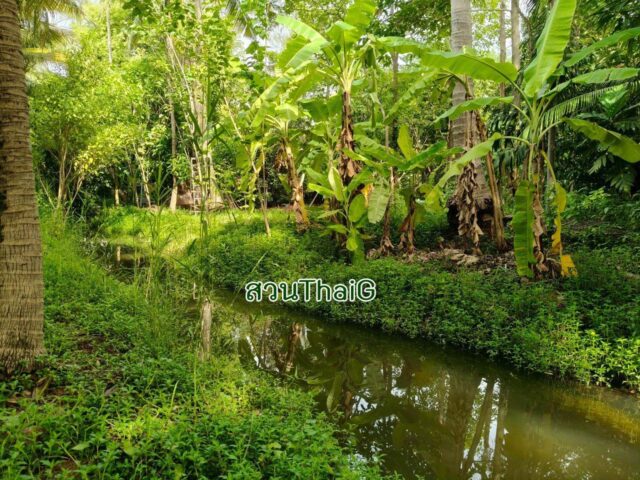 บรรยากาศในสวน