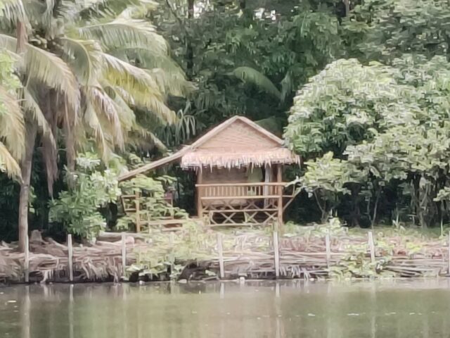 บ้านไม้ไผ่ริมบ่อน้ำขนาดใหญ่