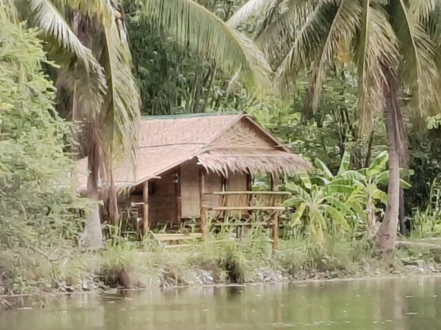 บ้านไม้ไผ่ริมบ่อน้ำขนาดใหญ่