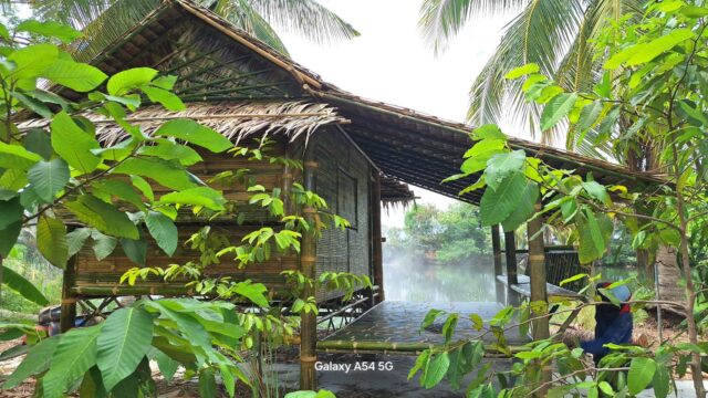 บ้านไม้ไผ่ริมบ่อน้ำขนาดใหญ่